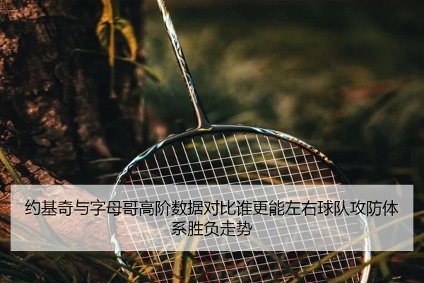 约基奇与字母哥高阶数据对比谁更能左右球队攻防体系胜负走势